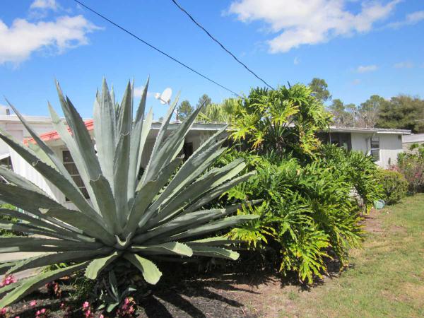 Tavares Homeowners, Inc.2783 MAIN STREETTavares, FL 32778