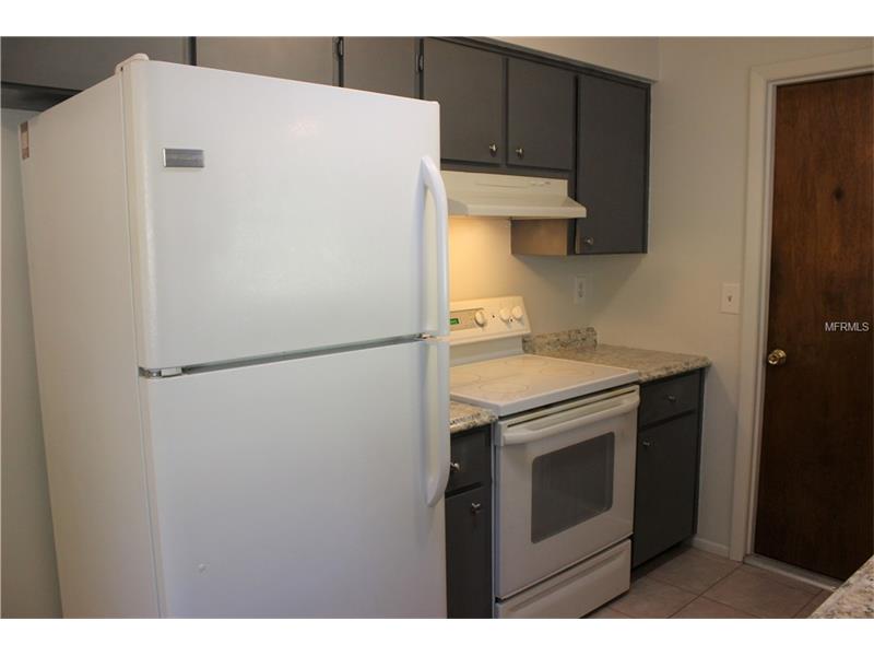 1341 CEDAR AVENUE, Tavares, FL 32778