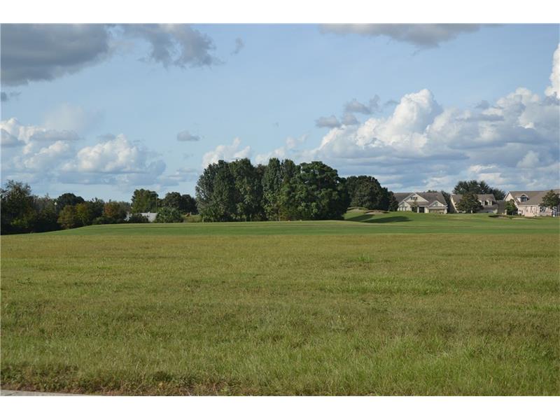 Lot E-5 LIVE OAK DR, Tavares, FL 32778