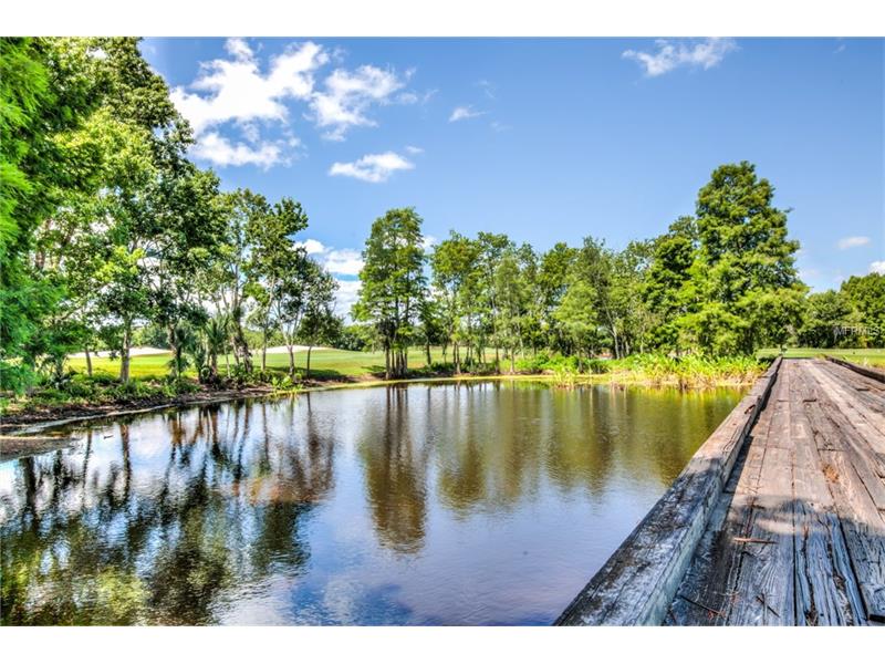 Lot E8 LIVE OAK DR, Tavares, FL 32778