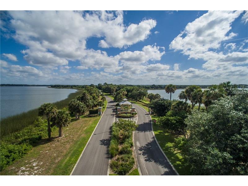 Lot E1 LIVE OAK DR, Tavares, FL 32778
