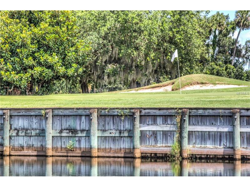 Lot E1 LIVE OAK DR, Tavares, FL 32778