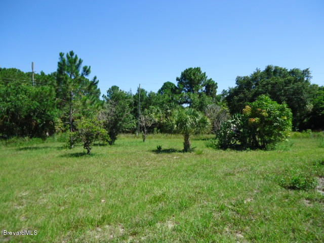 2225 White Sands Drive, Titusville, FL 32780