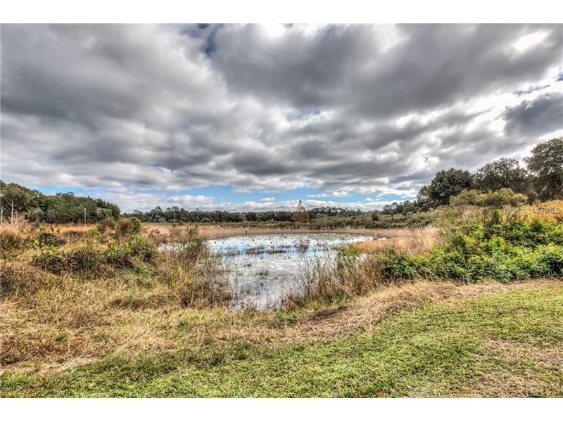 21310 152ND LANE, Umatilla, FL 32784