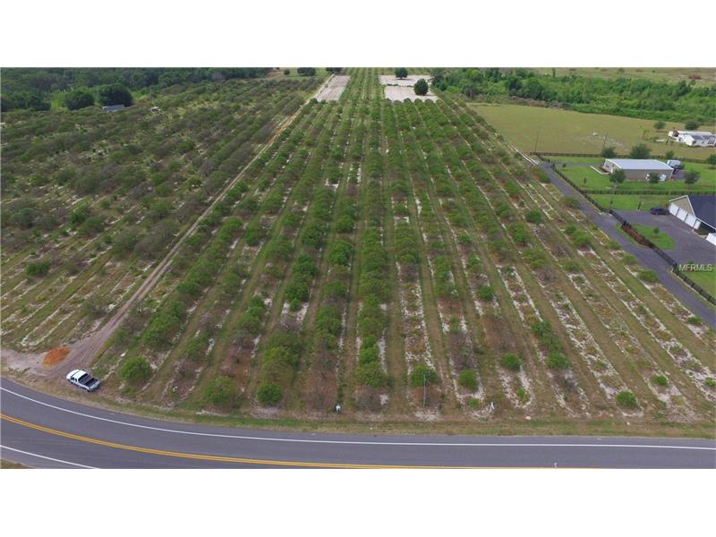 CR 450, Umatilla, FL 32784