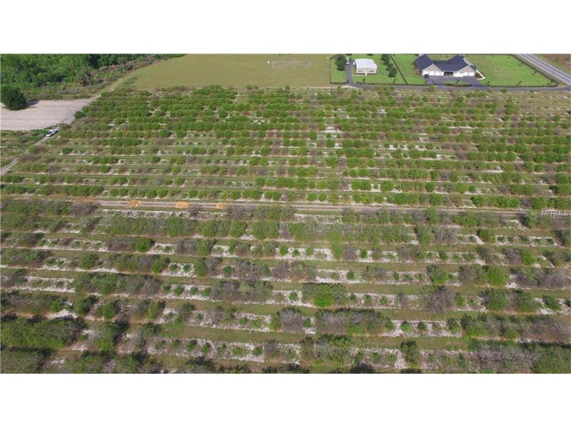 CR 450, Umatilla, FL 32784