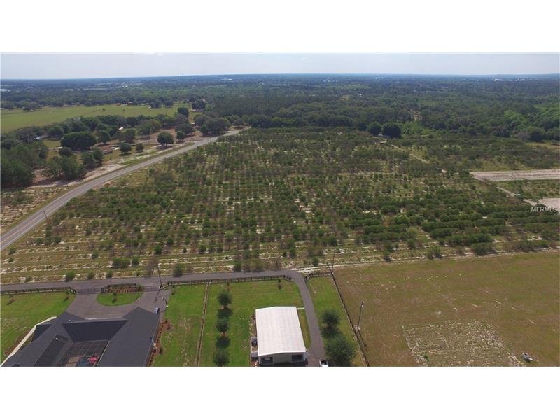 CR 450, Umatilla, FL 32784