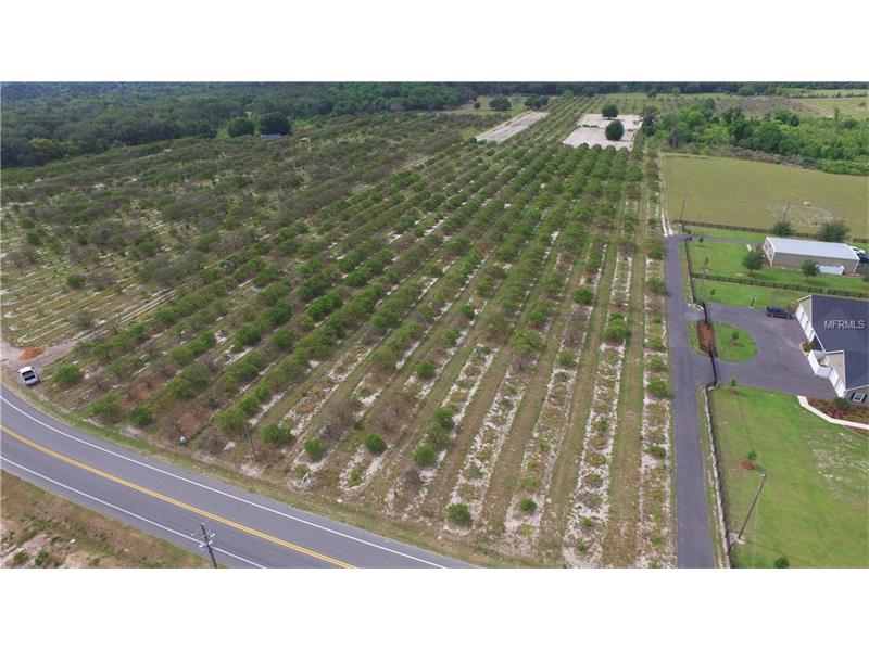 CR 450, Umatilla, FL 32784