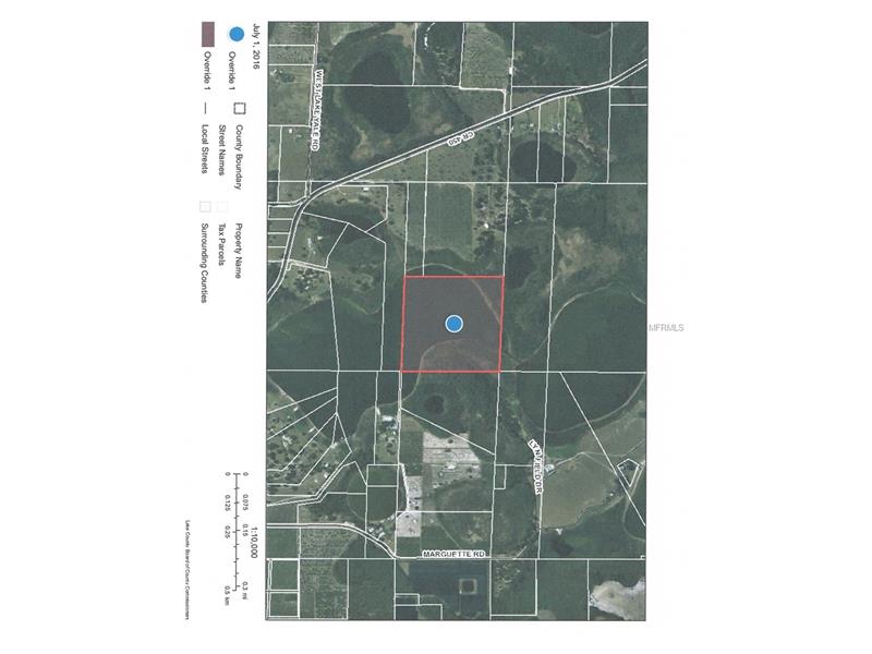 LAND OFF LAKE HOLLY, Umatilla, FL 32784