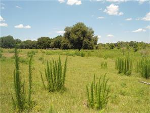 Lake Yale Road, Umatilla, FL 32784