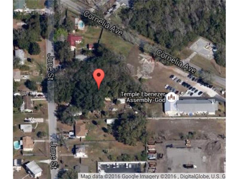 1257 JUNE STREET, Orlando, FL 32807
