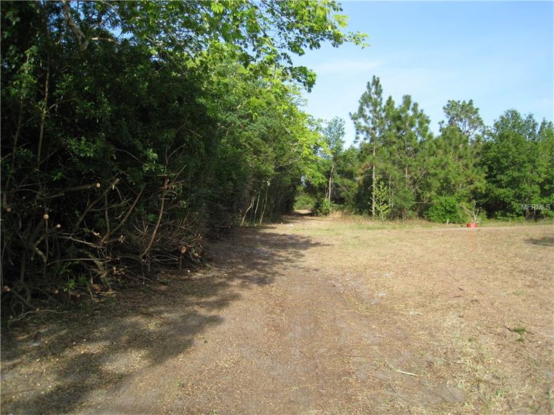 3217 LAKE TWYLO ROAD, Orlando, FL 32817