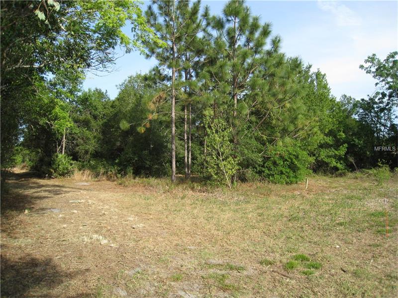 3217 LAKE TWYLO ROAD, Orlando, FL 32817