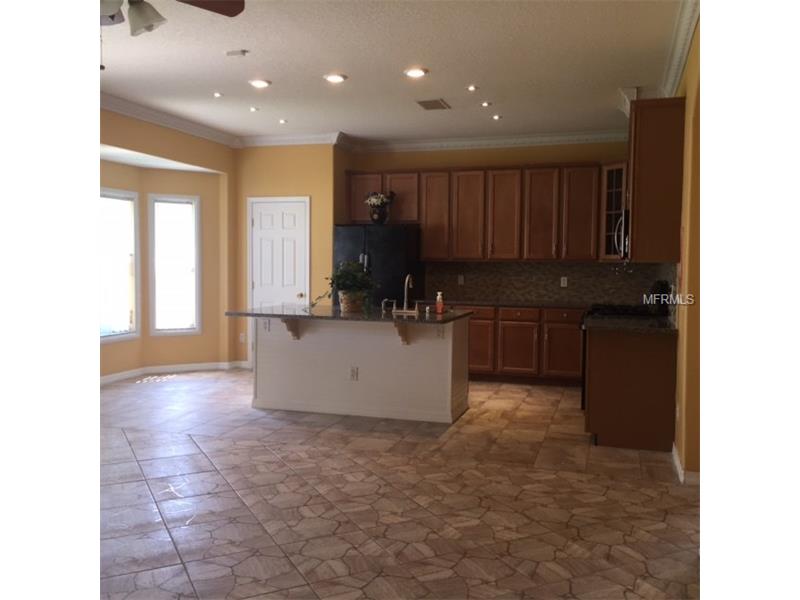 8848 PALISADES BEACH AVENUE, Orlando, FL 32829