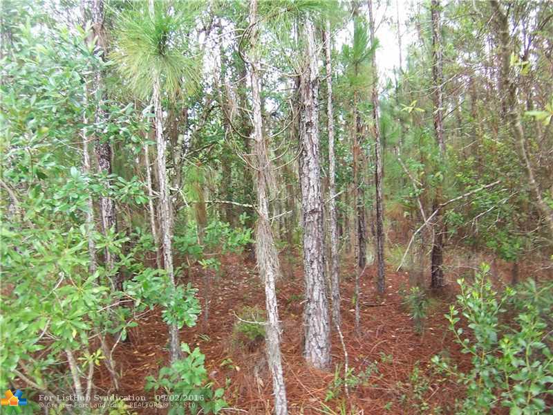 19224 PADDOCK STREET, Other City - In The State Of Florida, FL 32833
