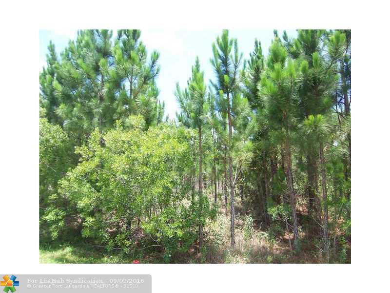 19224 PADDOCK STREET, Other City - In The State Of Florida, FL 32833