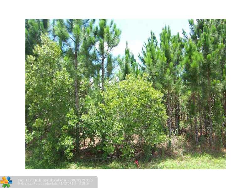 19224 PADDOCK STREET, Other City - In The State Of Florida, FL 32833