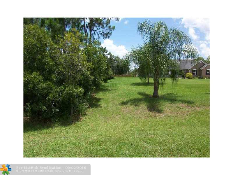19224 PADDOCK STREET, Other City - In The State Of Florida, FL 32833