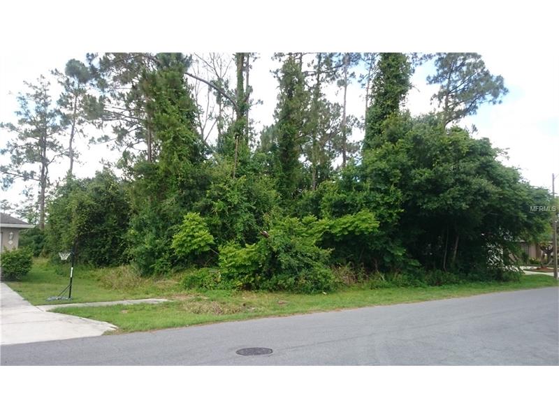 20922 NETTLETON STREET, Orlando, FL 32833