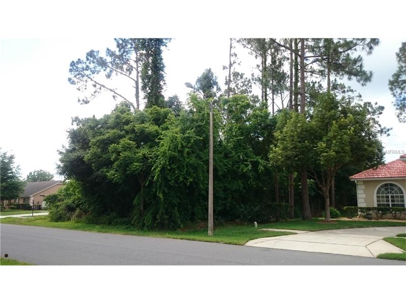 20922 NETTLETON STREET, Orlando, FL 32833