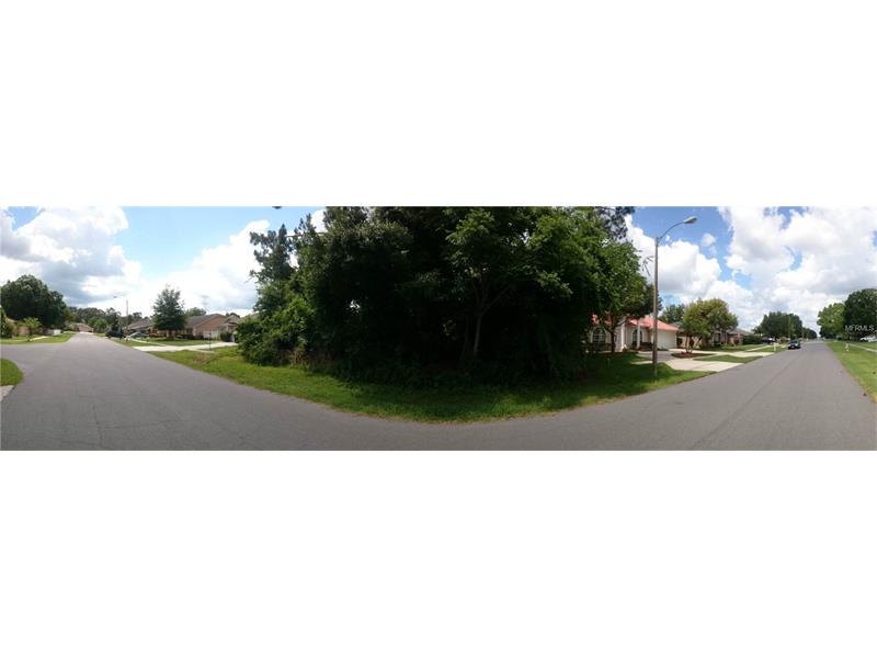 20922 NETTLETON STREET, Orlando, FL 32833