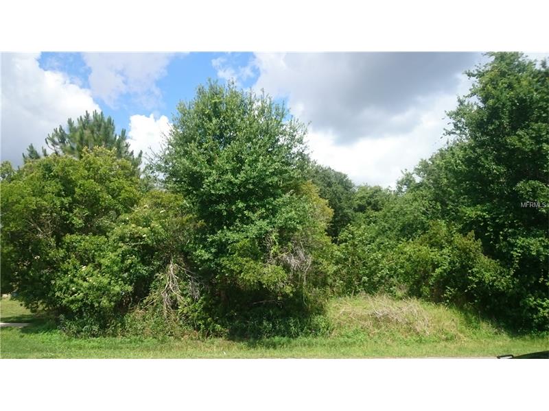 BALLARD AVENUE, Orlando, FL 32833