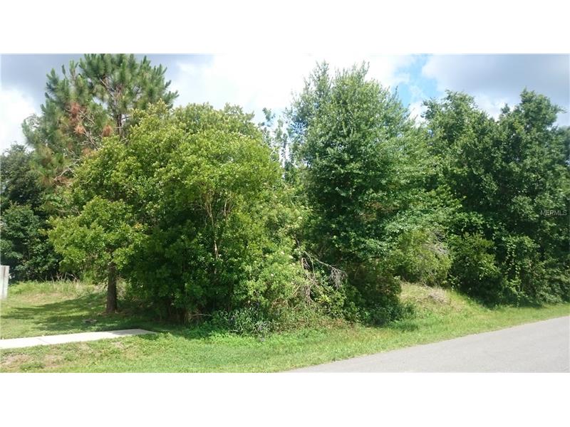 BALLARD AVENUE, Orlando, FL 32833