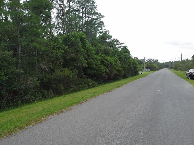 NETHERLAND STREET, Orlando, FL 32833