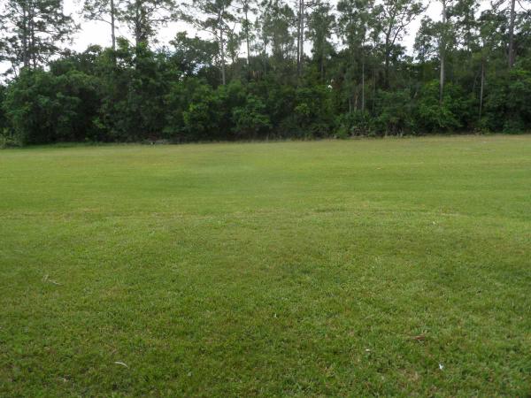 Lakes of Melbourne2261 Parkland Dr.Melbourne, FL 32904