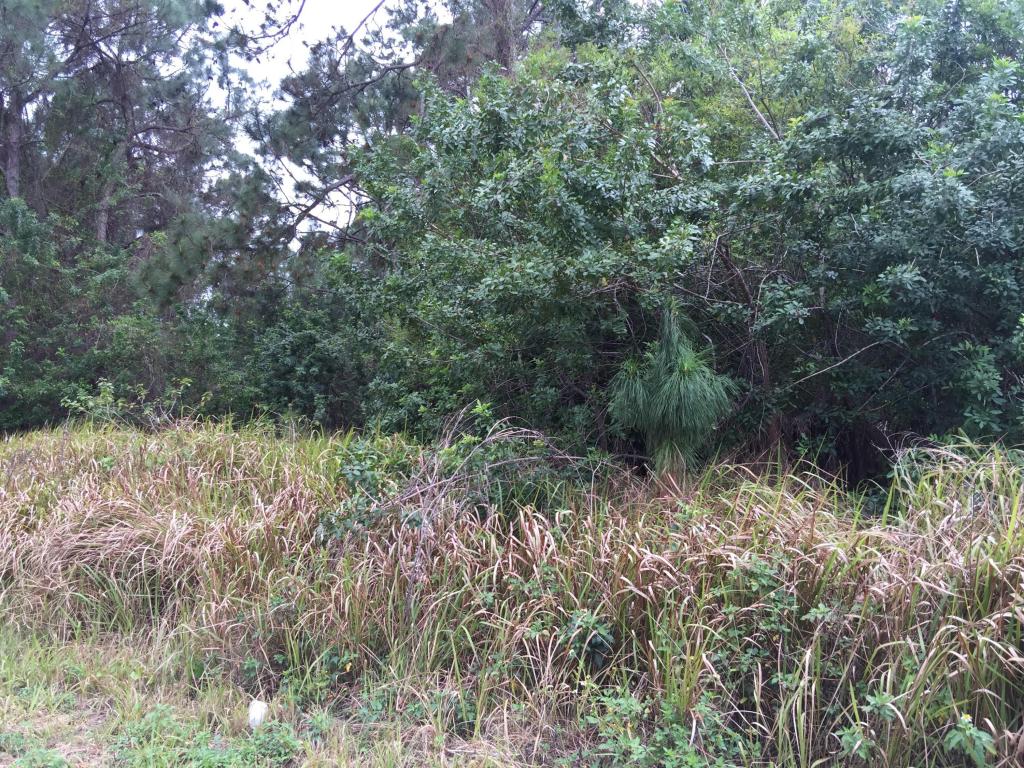 738 Delano Avenue, Palm Bay, FL 32907
