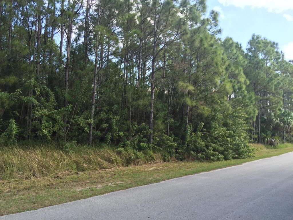 1711 NW Hydrangea Road, Palm Bay, FL 32907