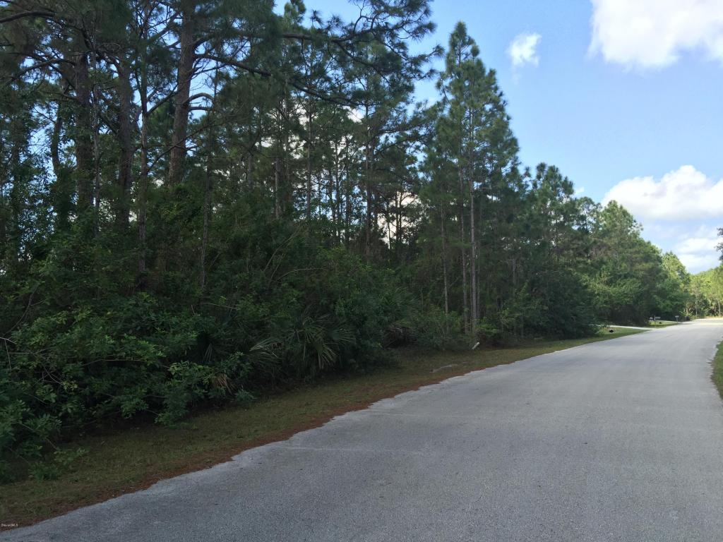 1711 NW Hydrangea Road, Palm Bay, FL 32907