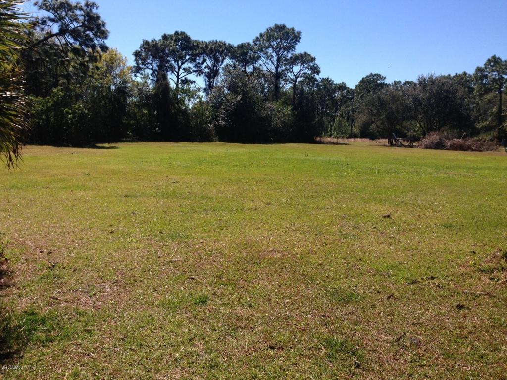 1942 NE Biddle Street, Palm Bay, FL 32907