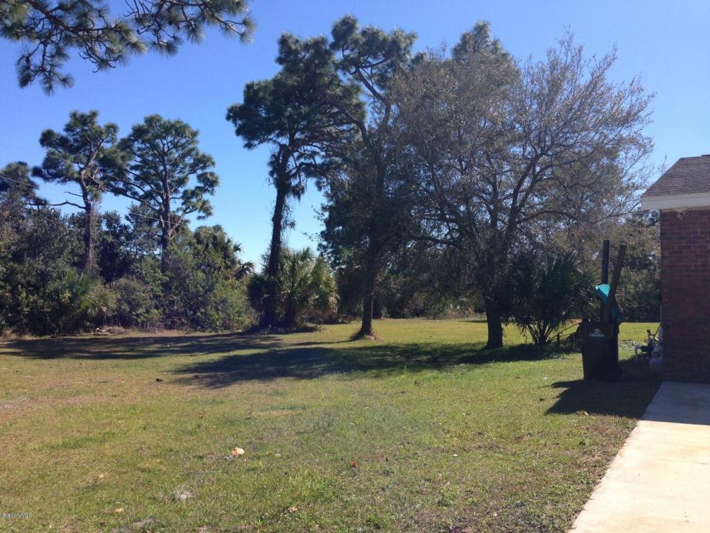 1942 NE Biddle Street, Palm Bay, FL 32907