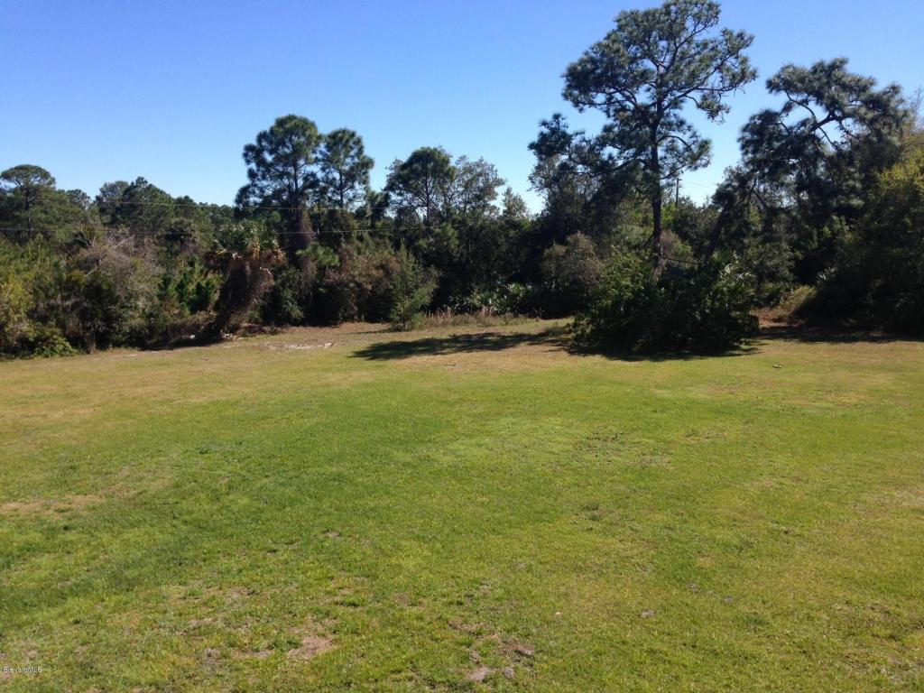 1942 NE Biddle Street, Palm Bay, FL 32907