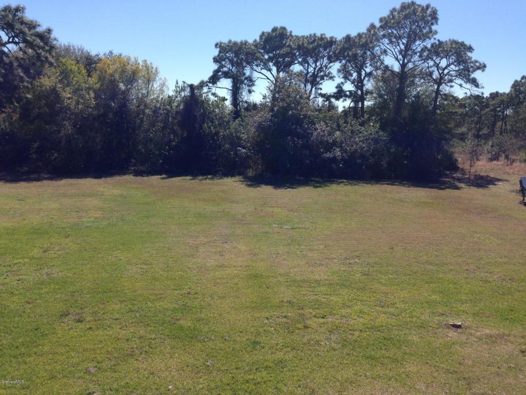 1942 NE Biddle Street, Palm Bay, FL 32907