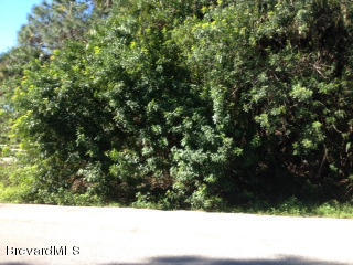 842 SW Rebus Avenue, Palm Bay, FL 32908