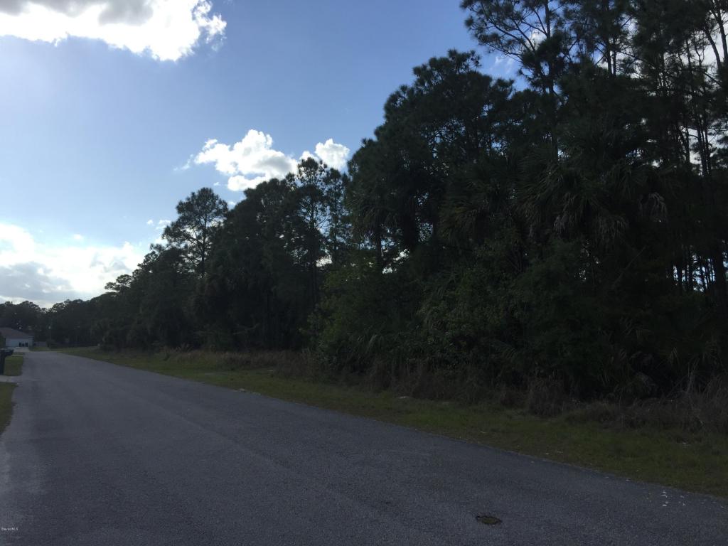 451 Whealan Street, Palm Bay, FL 32908