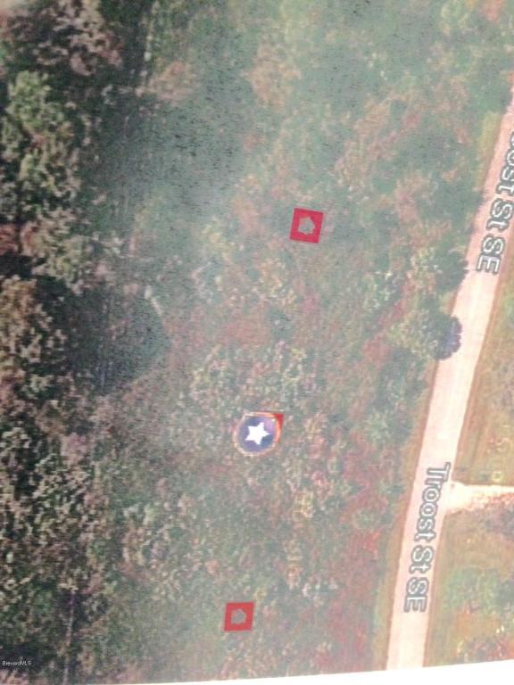 1670 Troost Street, Palm Bay, FL 32909