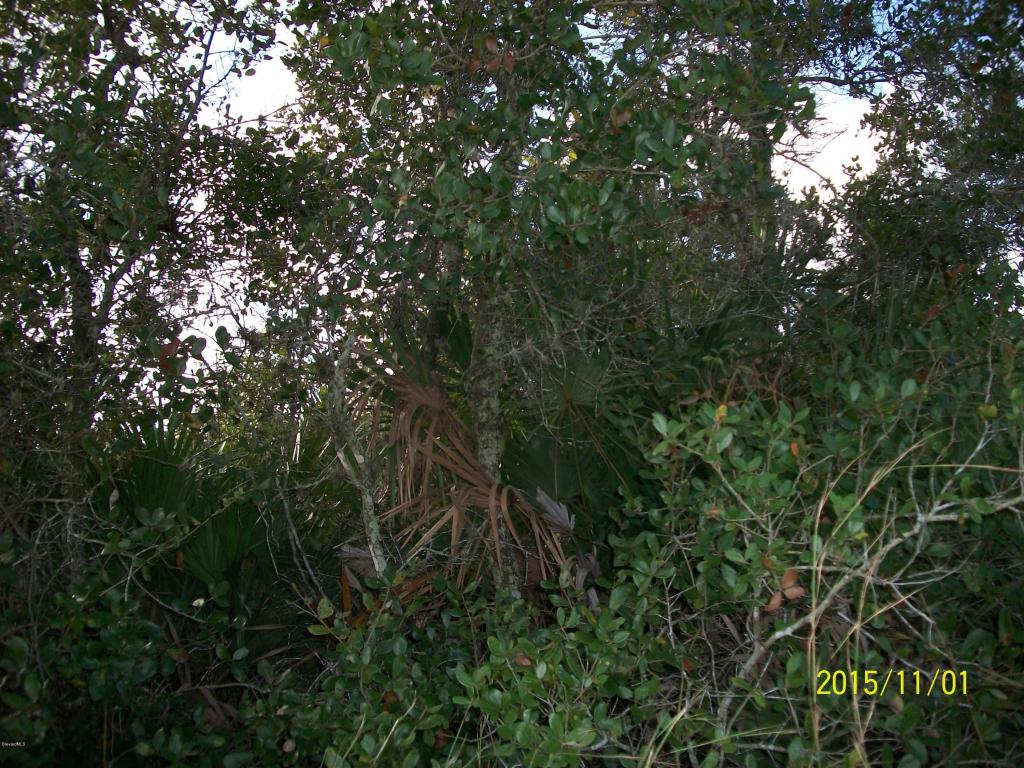 1864 Warton Avenue, Palm Bay, FL 32909