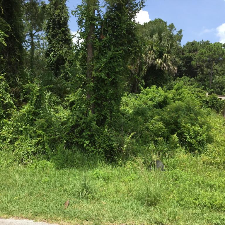 1374 Mohegan Terrace, Palm Bay, FL 32909