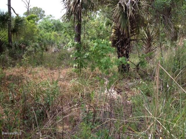Lot 5 Desert Sands Avenue, Cocoa, FL 32926