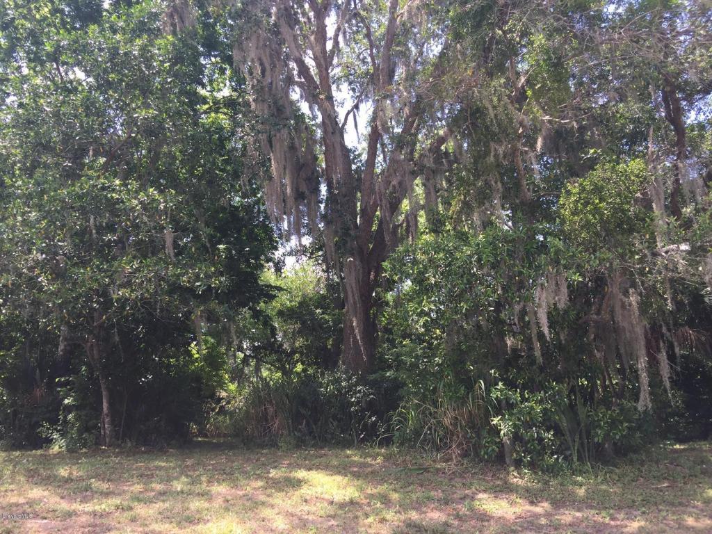 204 Sonya Drive, Cocoa, FL 32926