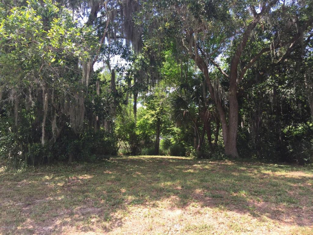 204 Sonya Drive, Cocoa, FL 32926