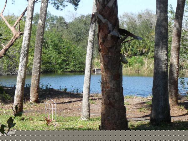 Cedar Lakes 4144 Gatewood StreetCocoa, FL 32926