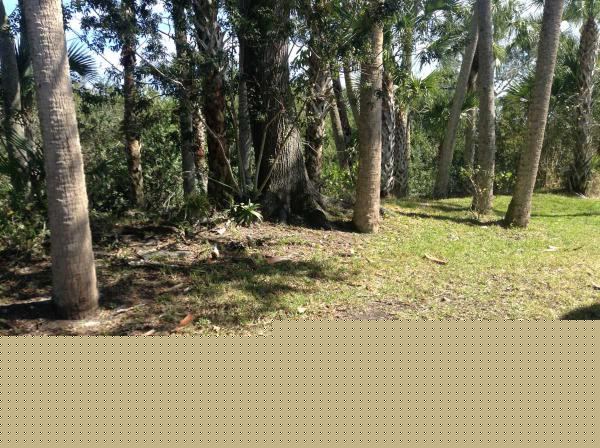 Lamplighter Village574 WainsbrookMelbourne, FL 32934