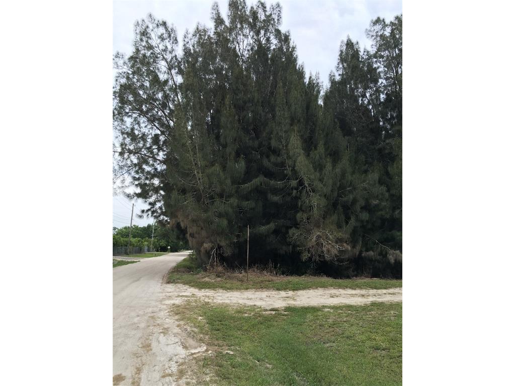 1 N Oleander St, Fellsmere, FL 32948