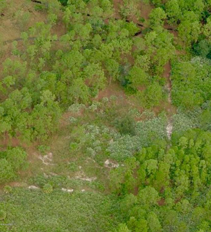 Xxxx Magnolia Road, Grant Valkaria, FL 32950