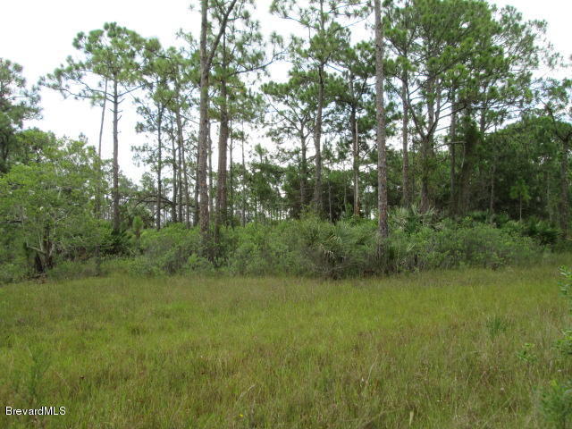 Xxxx Magnolia Road, Grant Valkaria, FL 32950