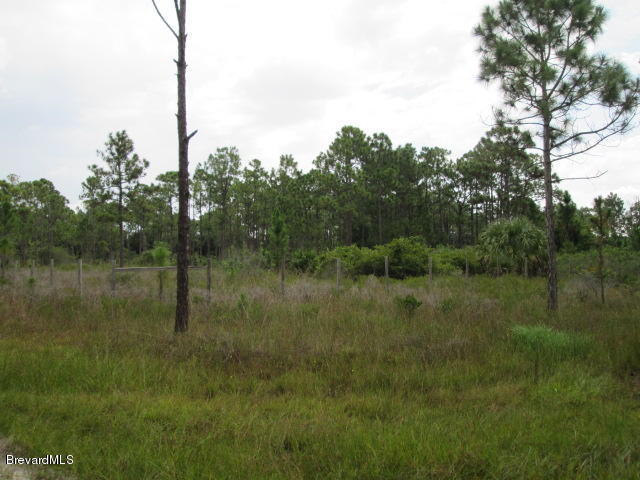 Xxxx Magnolia Road, Grant Valkaria, FL 32950